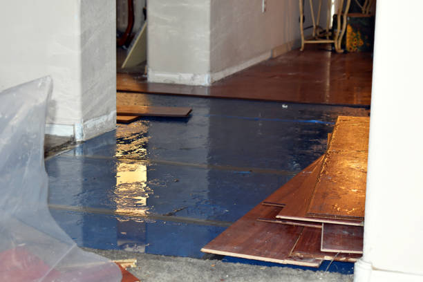 Professional Sewage Cleanup technician working in Estero, FL